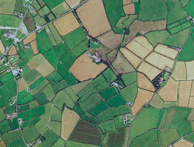 Bunbury of Ballyseskin & Wexford