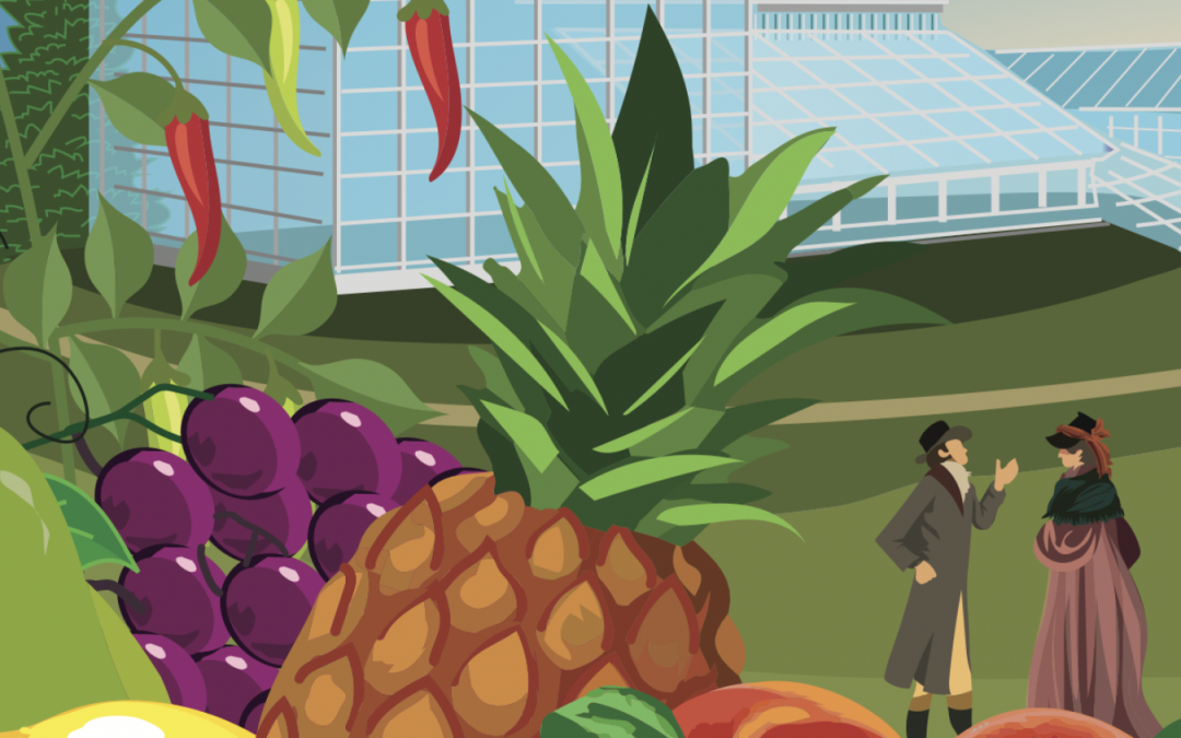 La Touche of Marlay, Bellevue & Harristown