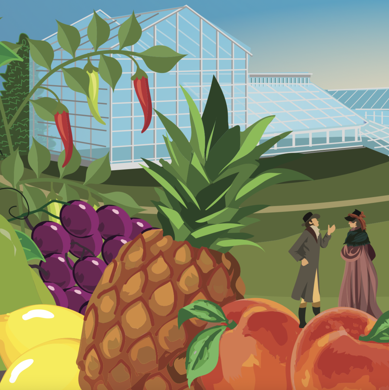 Bellevue close up, Derry Dillon.