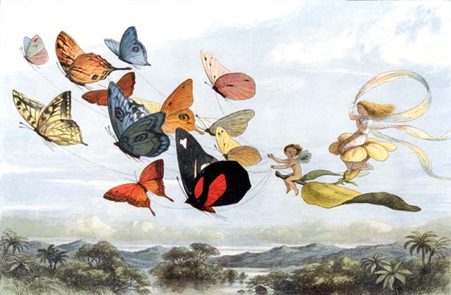 William Francis de Vismes Kane (1840–1918) – A  Gentleman Naturalist At Large