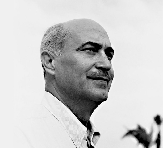 Colonel Joseph McMicking 