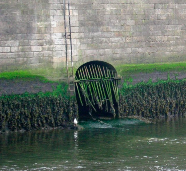 The junction between the Poddle tunnel and the Liffey is visible at low tide. 