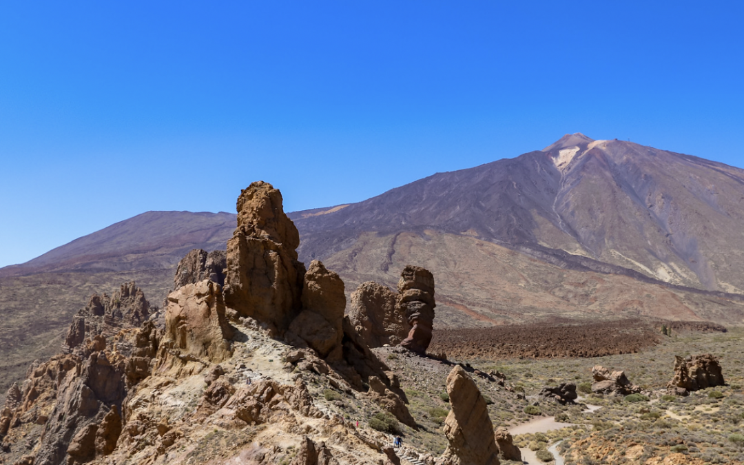 Tenerirfe – The Island of Lost Arms & Comedy Seals