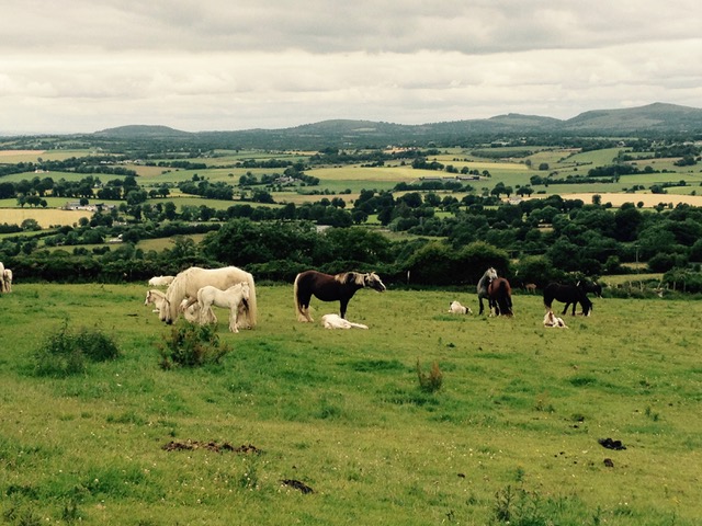 View from Eagle Hill.