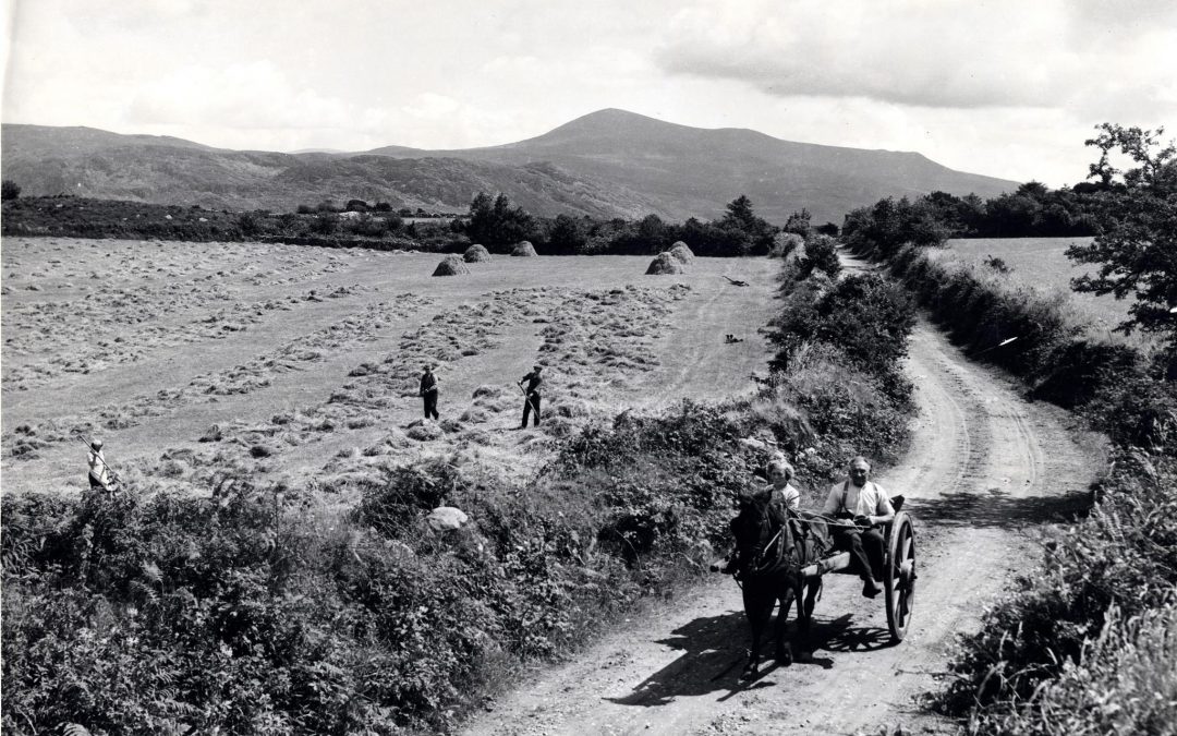 True Horse-Power – How Jimmy the Coal Carrier got Home from Bradley’s pub