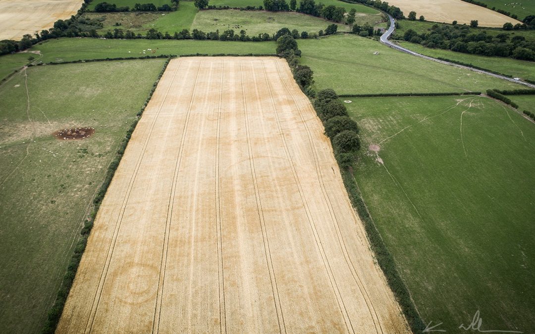 Haroldstown, County Carlow – Of Dolmens, Evictions and Eccentric Historians