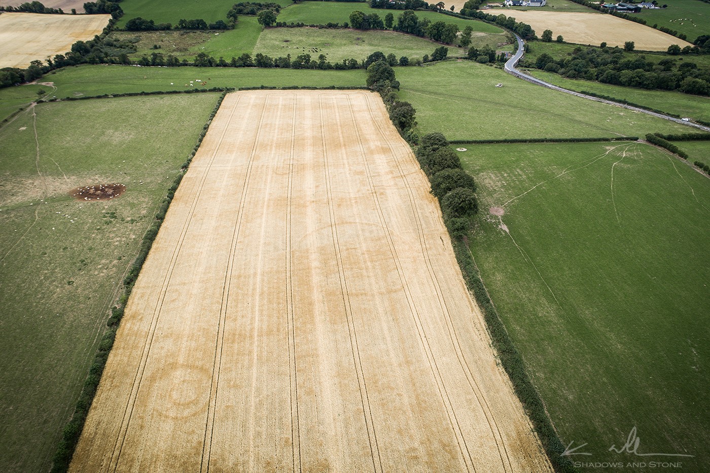 Photographed in August 2018 by Ken Williams of Shadows and Stone, this drone photograph shows the outline of several barrows and ring-ditches, as well as a
large circular enclosure, in the Long Field behind the Haroldstown Dolmen in County Carlow. The road on the right is the R727 from Hackestown to Tobinstown, the bendy
bit is Acaun Bridge and the grey lump in the field by the bridge is the dolmen. This incredible photo, made possible by the long drought, is the first indication of any such complex in this area.
(With thanks to Ken Williams)


