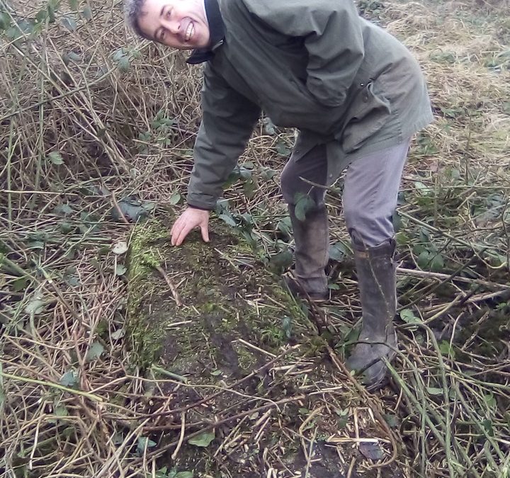 Castlemore, County Carlow – A Vanished Town, a Solitary Motte