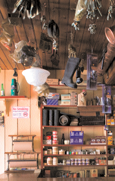 Photo: James Fennell.