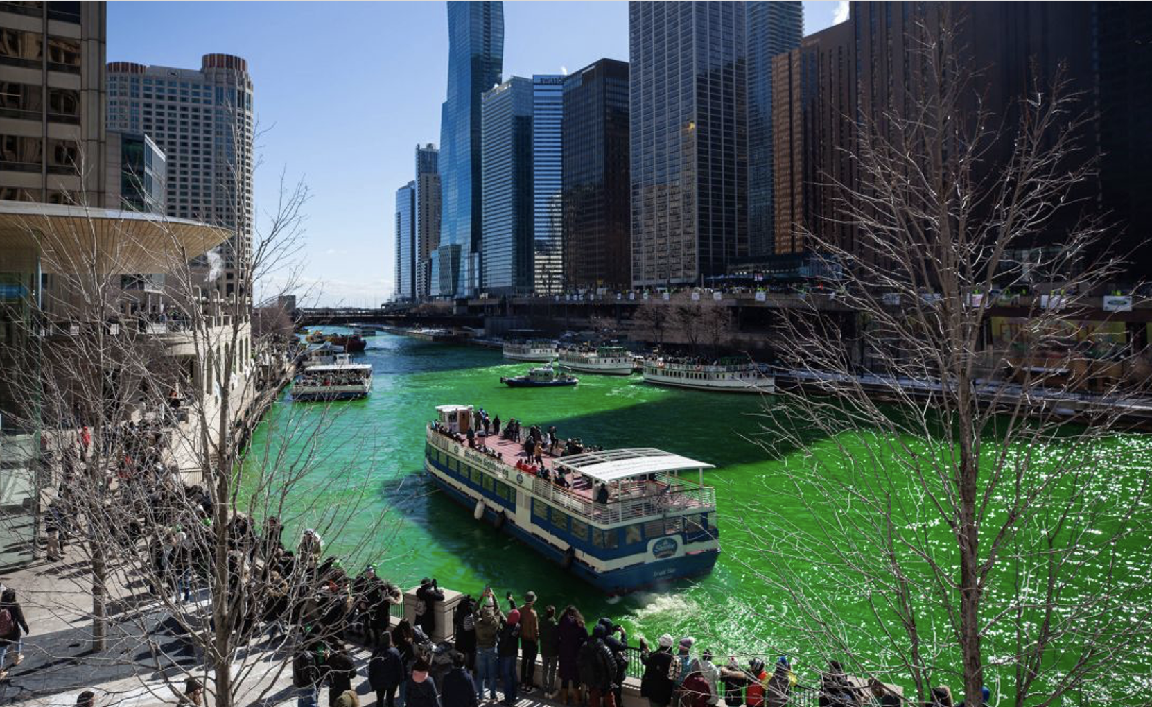 The River Chicago is dyed green every St Patrick's Day. 