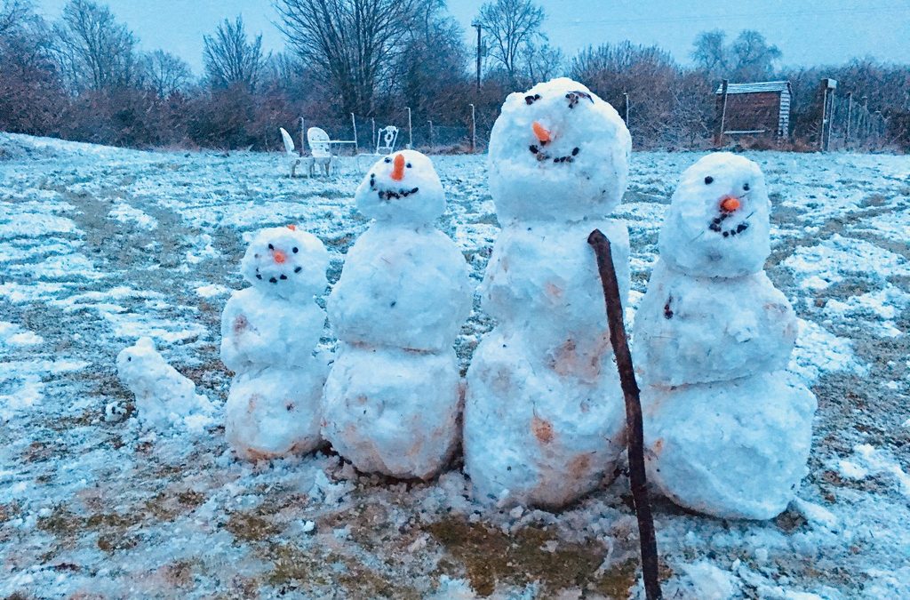 The Big Snow & Freeze-Up in West Wicklow, 1963, by Michael O’Brien