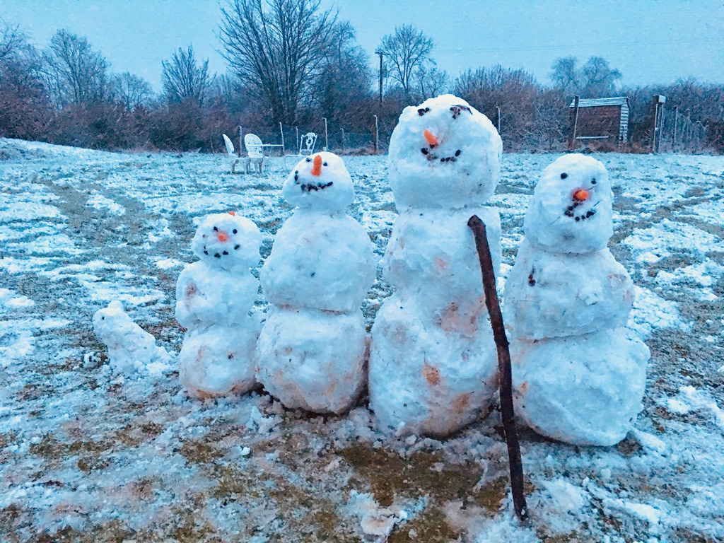 The Big Snow & Freeze-Up in West Wicklow, 1963, by Michael O'Brien