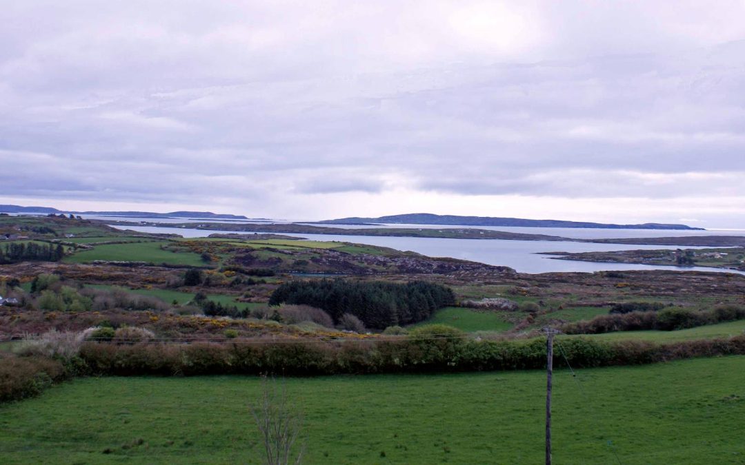 The Pirate Hull of Leamcon, West Cork