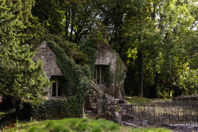 Kilkea Castle  (1) The Time Before the Normans