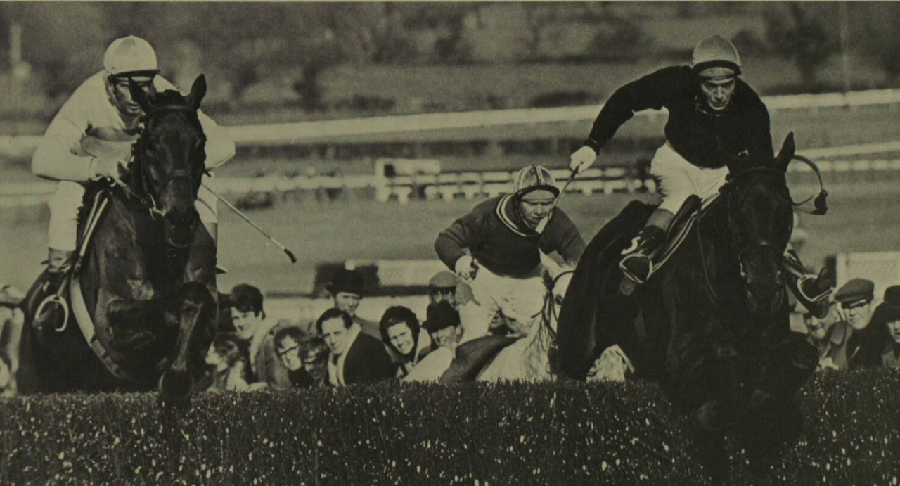 Naas veteran Fort Leney wins the Cheltenham Gold Cup.