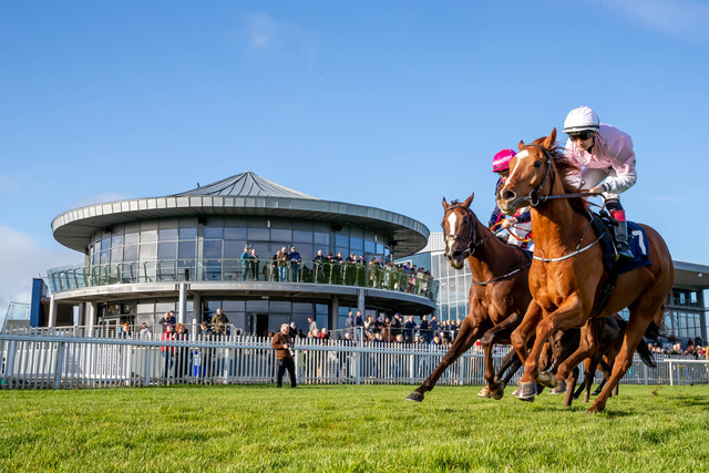 Half Nutz, trained by  Johnny Murtagh and ridden by Danny Sheehy, contests The Awardsandgifts.ie Handicap at Naas on 6 November 2022.