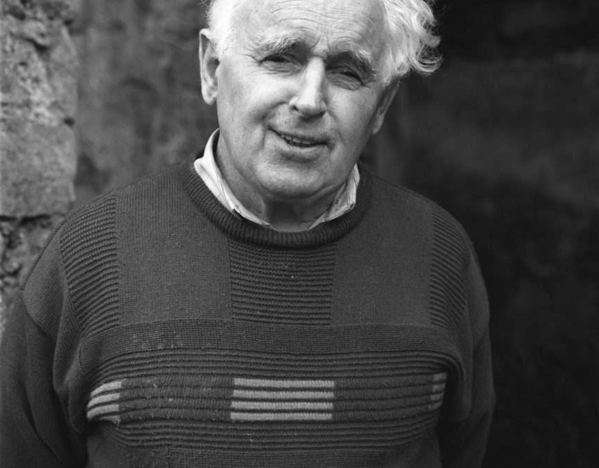 Paddy Heaney (1931-2022) – Historian and Farmer – Cadamstown, County Offaly
