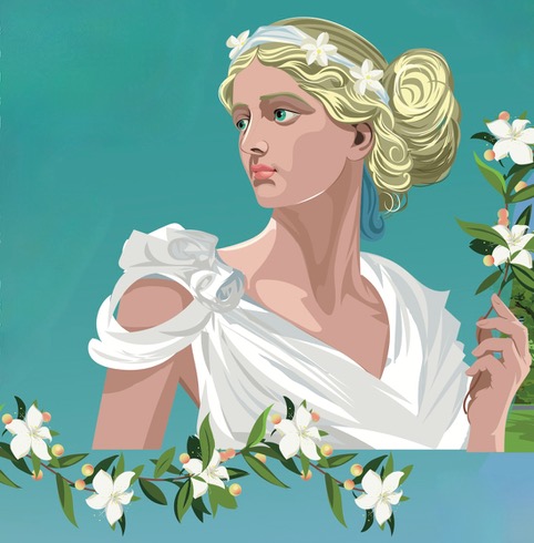 Myrtle. Illustration: Derry Dillon.