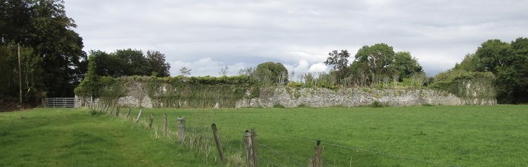 The 17th century bawn at Clonmeen is thought to have once held a fortified house with towers at each corner.

