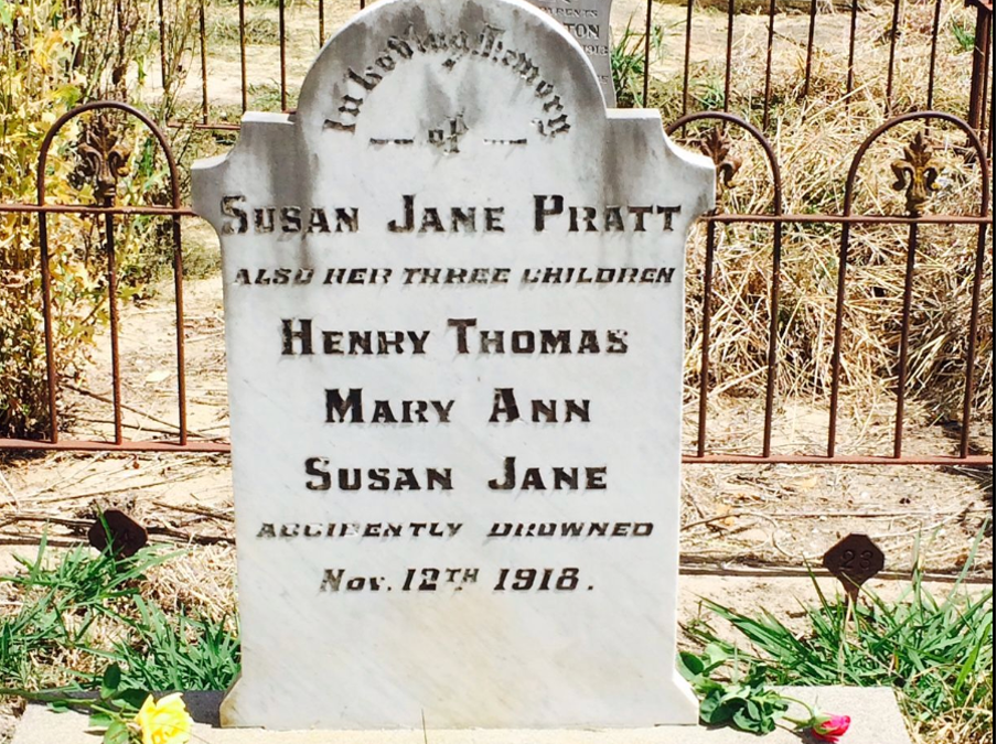 The Pratt Family Tragedy in Australia, 1918 by Alan Clegg