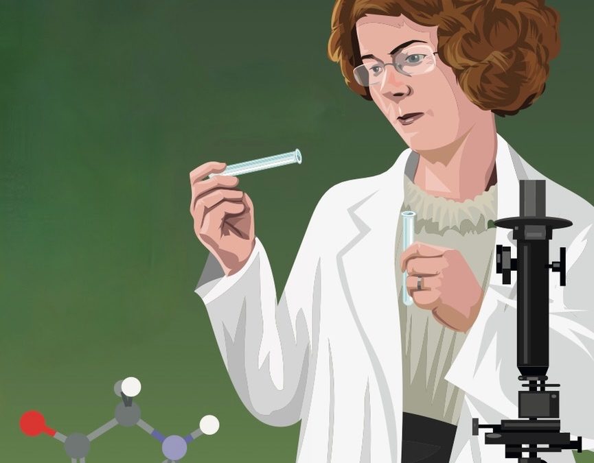 Notes on Newbridge & The Curragh, County Kildare