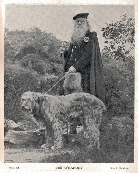 The O’Mahony and the Bulgarian Orphans