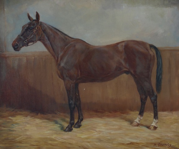 Jack Colvin and Hopit: The Tipperary War Horse