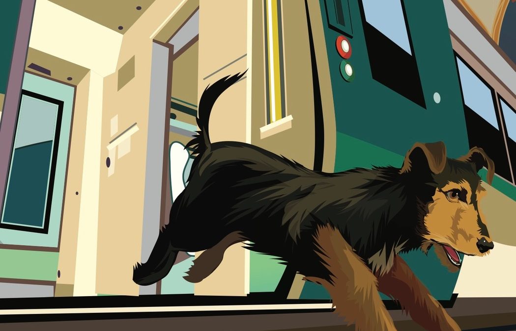 Notes on Naas, Sallins, Kill and Johnstown, County Kildare