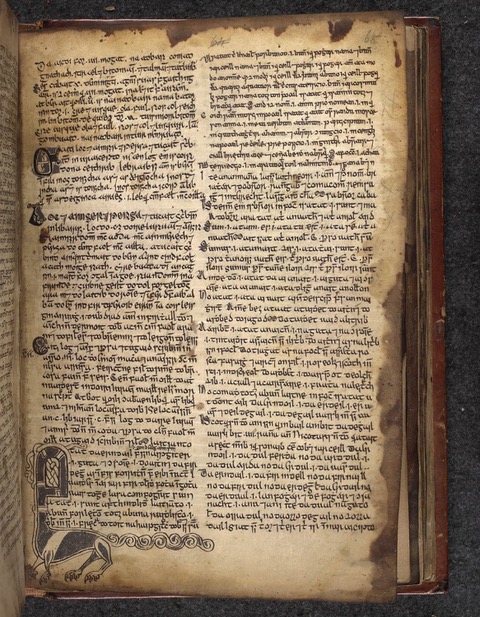 An extract from Egerton 88, a miscellany of legal and grammatical tracts, tales and a law glossary, compiled by Domhnall O Duibhdábhoirenn (Donall O'Davoren) between 1564 and 1570. The book was displayed at Galway City Museum, while on loan from the British Library. It was adopted by Muintir Ui Lochlainn following an international gathering in 2010. Image courtesy of Edward O’Loghlen.