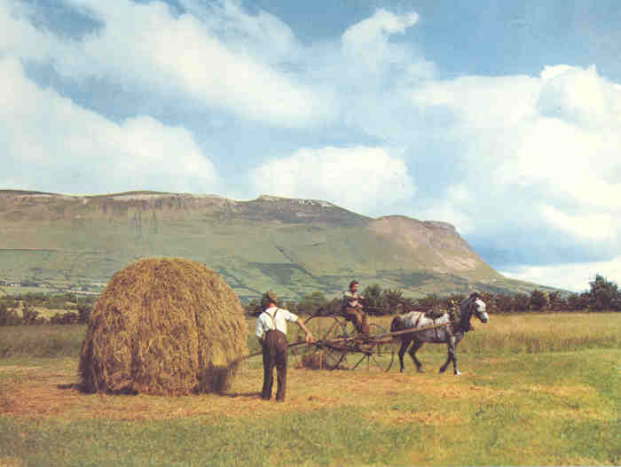 Forty Years of Farming by Gilbert Butler (c. 1967)